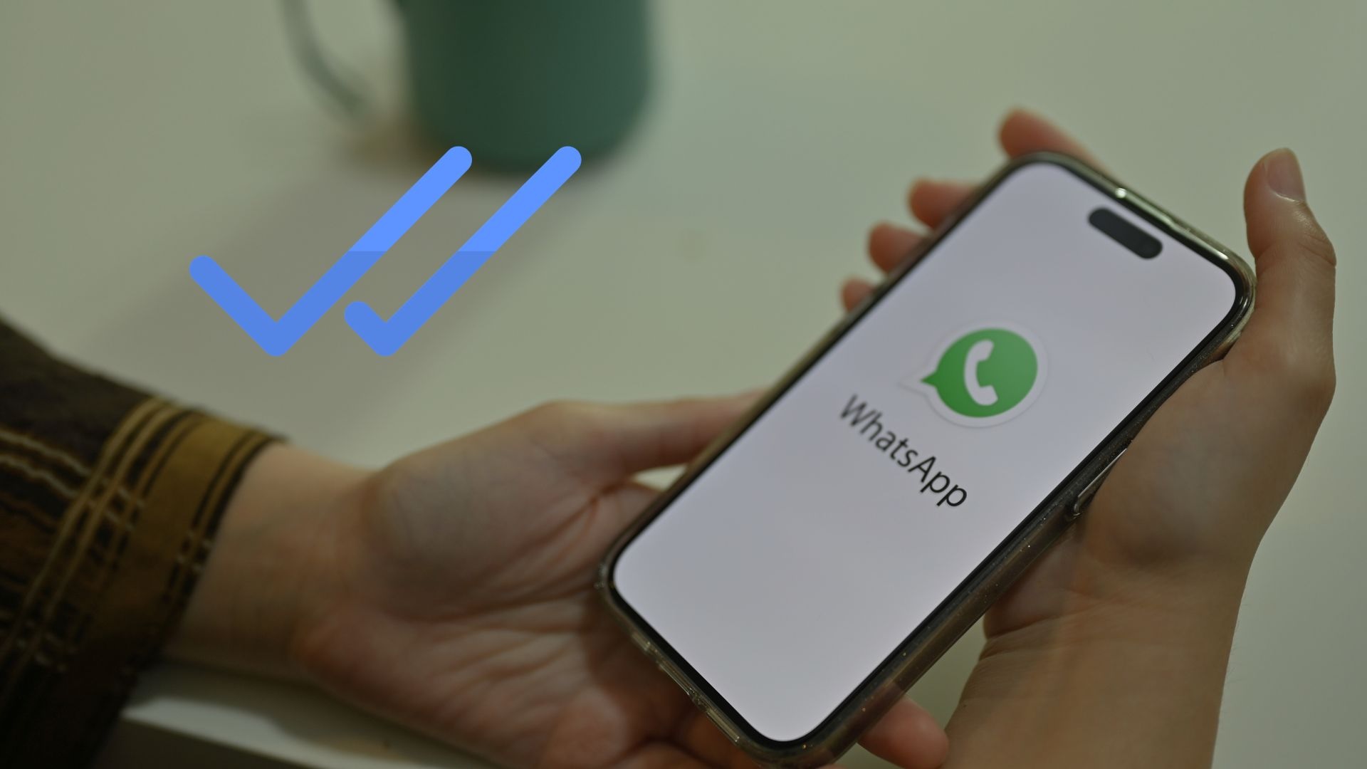 Cara Mematikan Centang Biru WhatsApp Agar Tidak Terlihat Dibaca