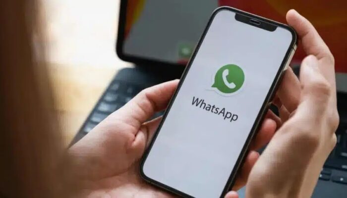 WhatsApp Segera Hadirkan Fitur Tema Chat yang Lebih Personal