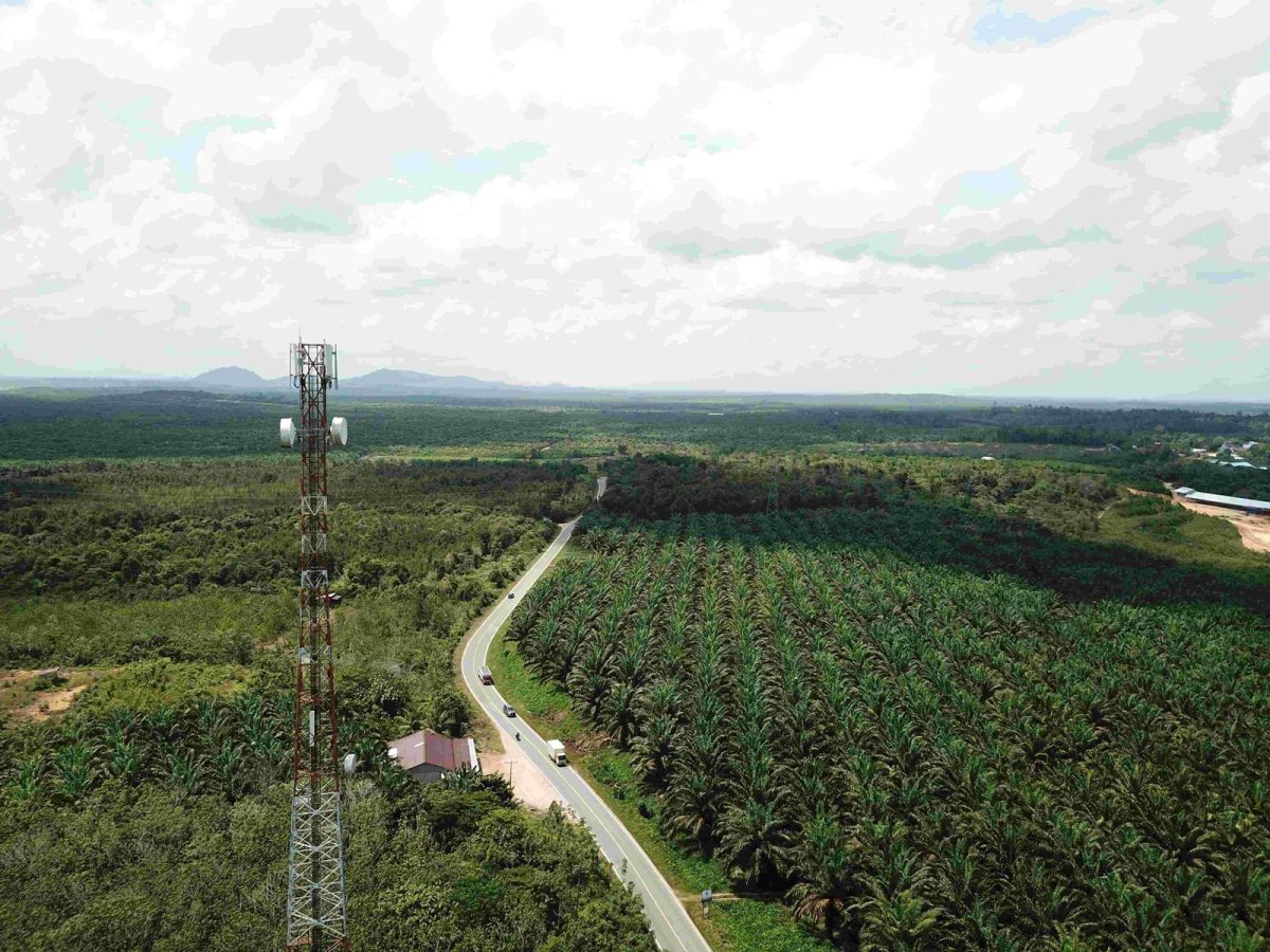 Opensignal Laporkan Performa Jaringan Seluler Indonesia: Telkomsel Dominasi Kategori 5G