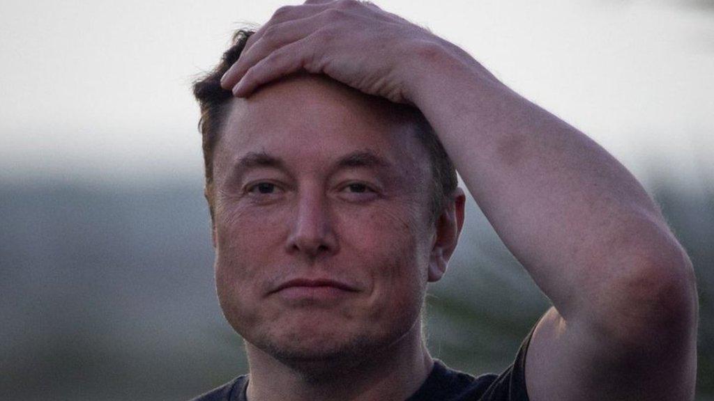 Elon Musk Sebut Singapura Terancam "Punah," Picu Perdebatan Global